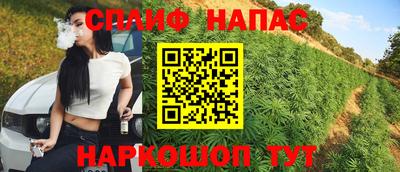 винт Будённовск