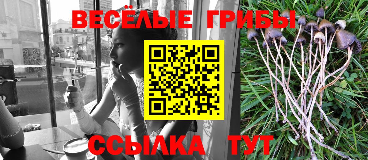 Галлюциногенные грибы MAGIC MUSHROOMS  Галлюциногенные грибы ЛСД  Вход с VPN  Ульяновск 