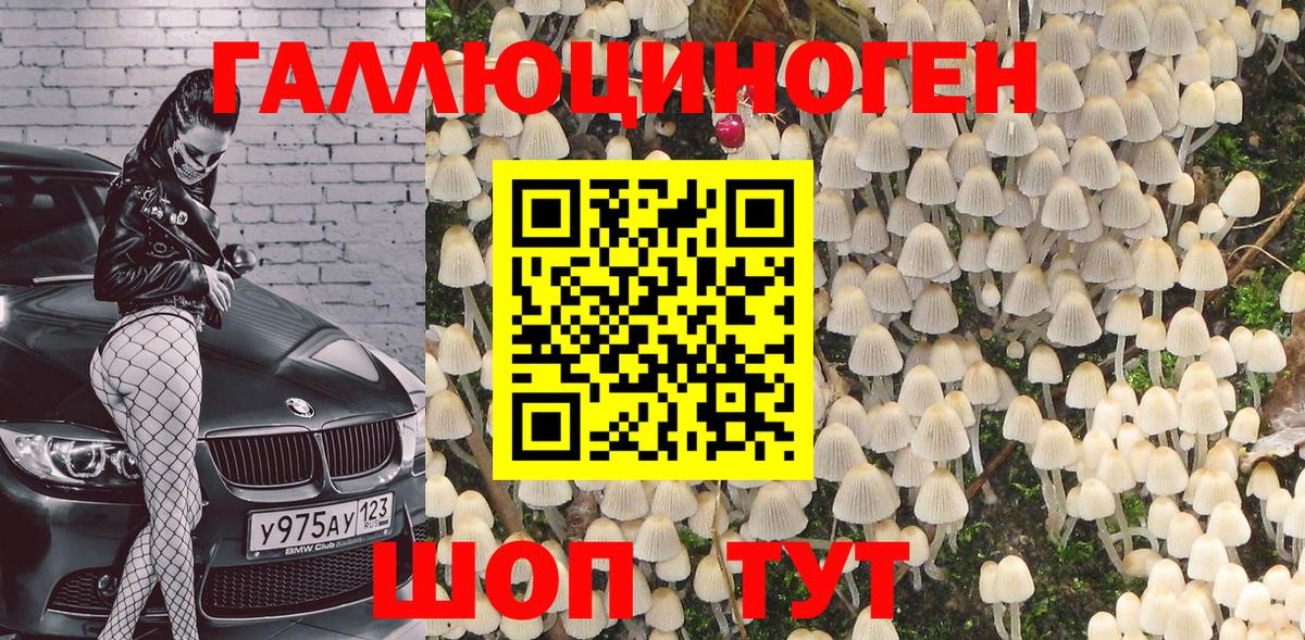 Галлюциногенные грибы GOLDEN TEACHER Ульяновск
